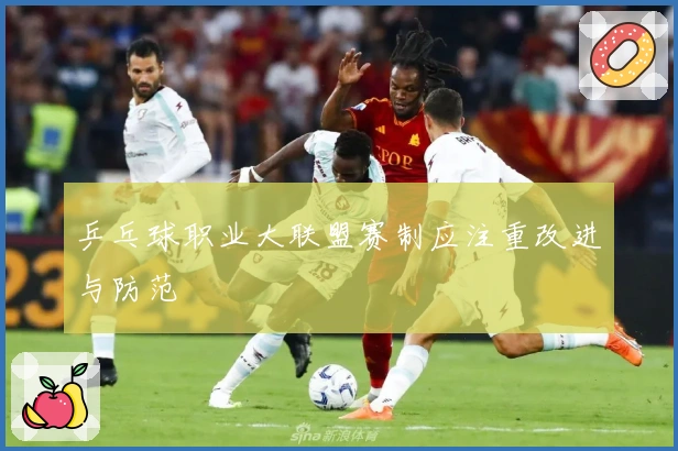 乒乓球职业大联盟赛制应注重改进与防范